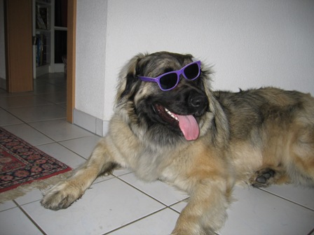 Juni 2011